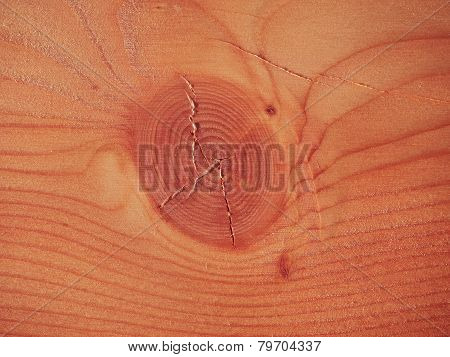 Larch Wood Background