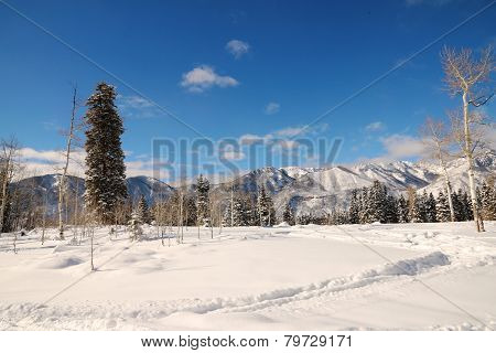 Middle Mountains