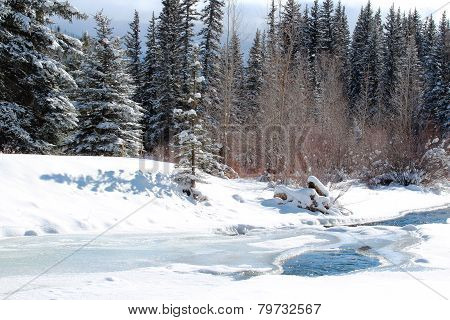 Vallecito Creek