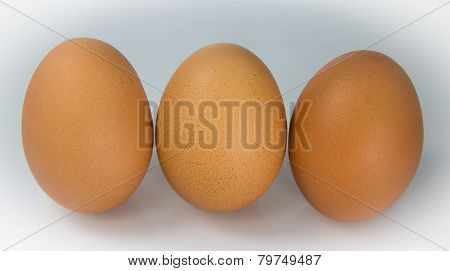 The Chicken Egg