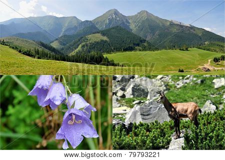 view from Slovak, Europe