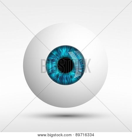 Human Eye