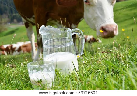 Milk and cows. Emmental region, Switzerland 