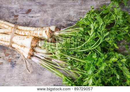 Fresh Parsley With Root On Table
