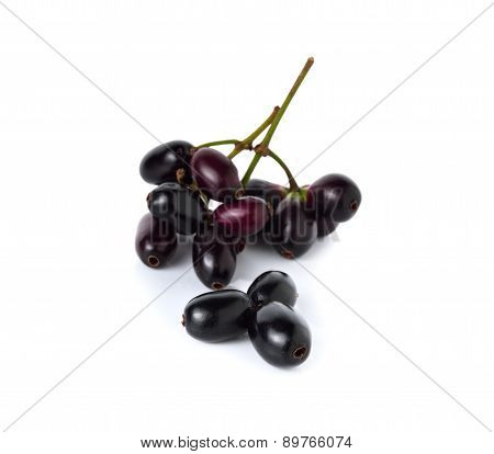 Jambolan Plum Or Java Plum With Stem On White Background