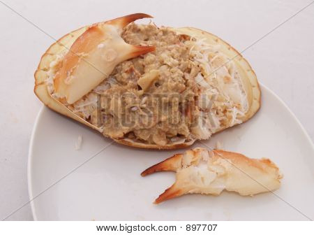 gekleidet crab