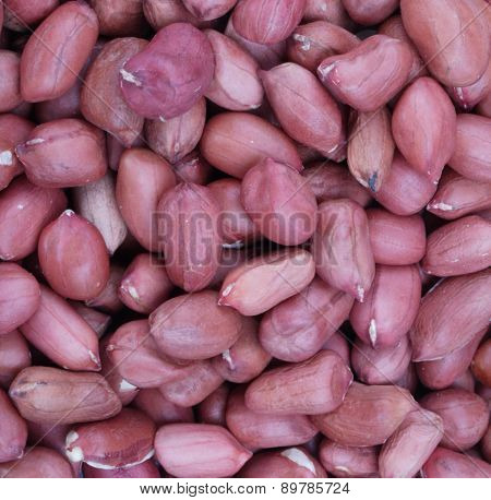 Arachis Background