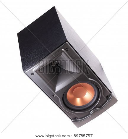 Speaker Isolated