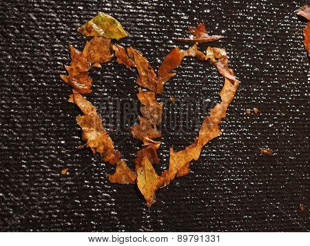 A Heart formed of brown leaves