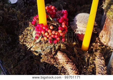 Forest Candy bar, decorated with fresh berries
