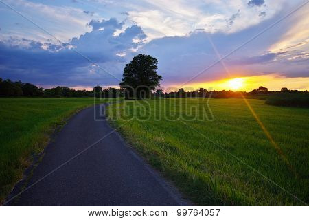 On the way to the nature