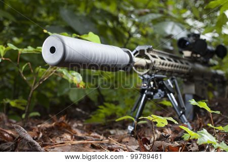 Hidden Gun