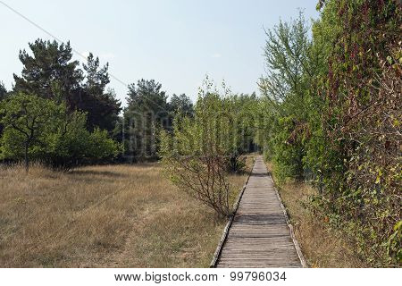 Planks way