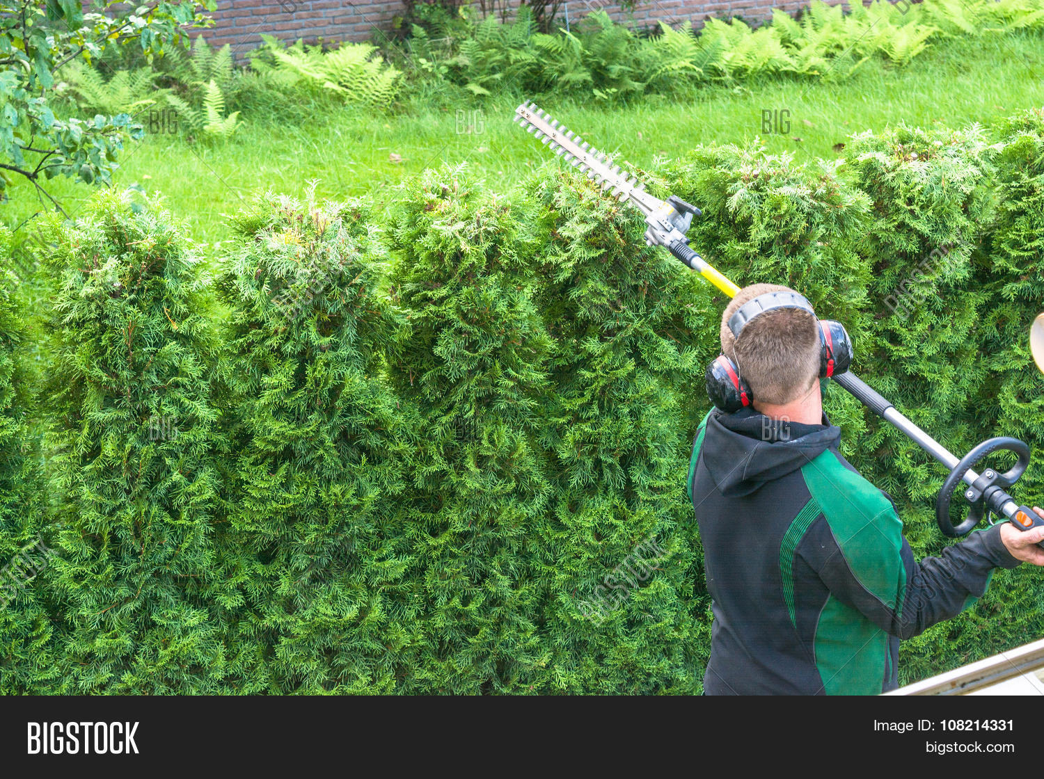 Professional Hedges Image & Photo (Free Trial) Bigstock