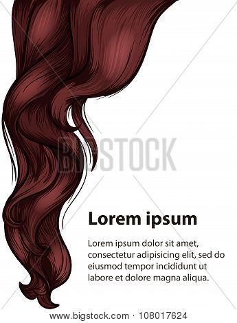 Hair Style And Hair Care Design Template