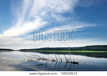 Blue Sky