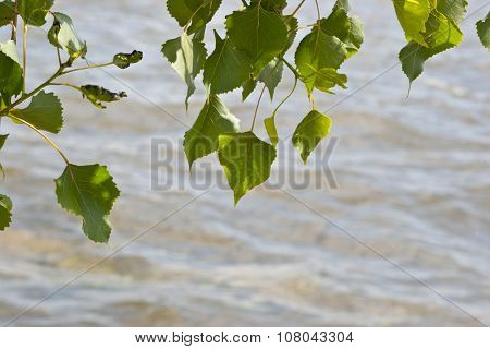 Clear fresh water in the river. Ecological background.