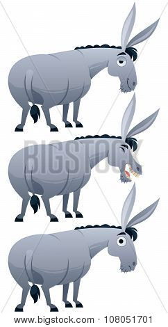 Donkey
