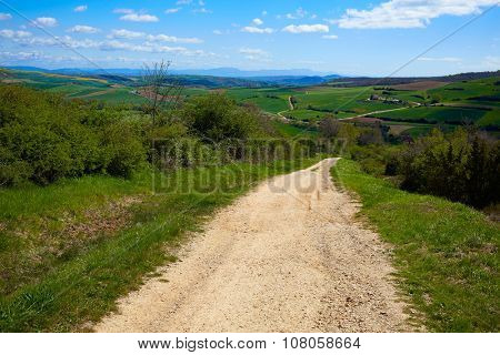 Montes de Oca track by the Way of Saint James in Castilla Burgos