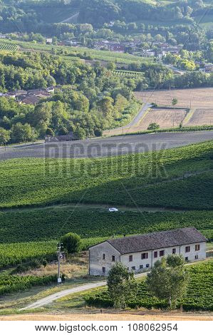 Vineyards In Oltrepo Pavese (italy)
