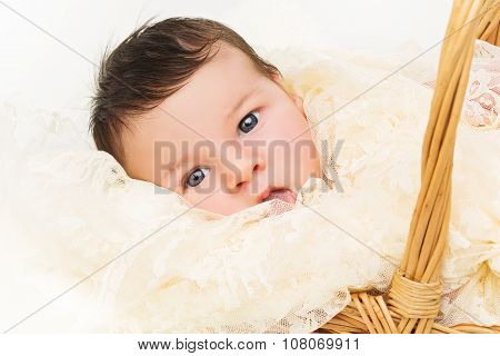 Newborn baby in basket
