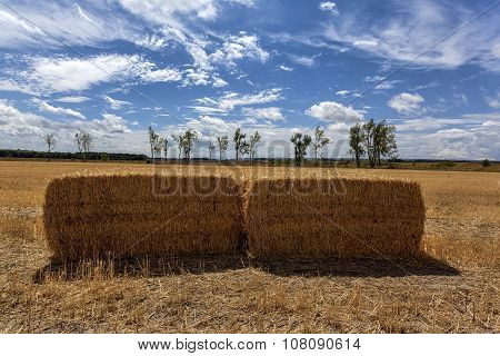 Squares Straw Bales After Harvest Wheat