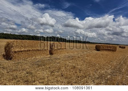 Squares Straw Bales After Harvest Wheat