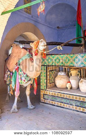 The Camel In Bir Barouta