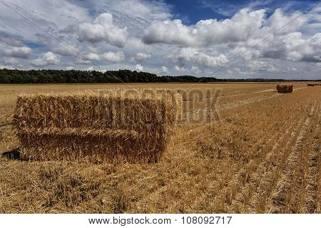 Squares Straw Bales After Harvest Wheat