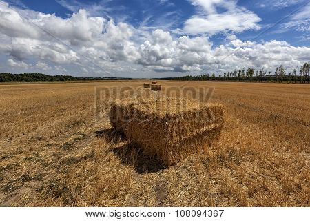 Squares Straw Bales After Harvest Wheat