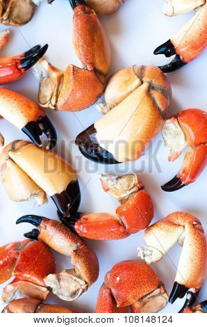 Boiled Crab Claw On grey Background