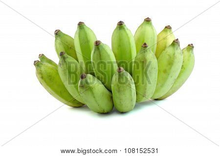 Cultivate Green Banana Isolate White Background