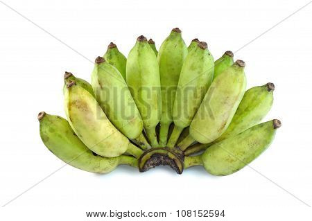 Cultivate Green Banana Isolate White Background