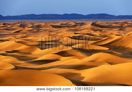 Sunrise light in Sahara Desert, Africa