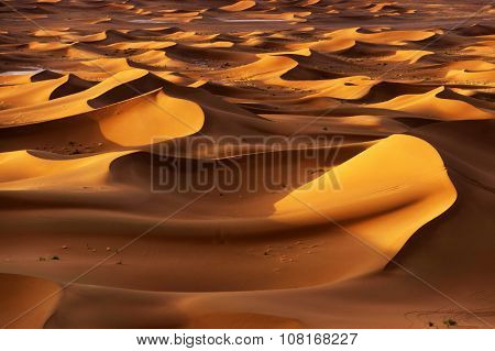 Sunrise light in Sahara Desert, Africa