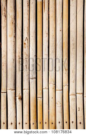 Old yellow bamboo pattern, abstract texture background.