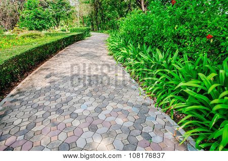 Concrete and stone walkway in the green park