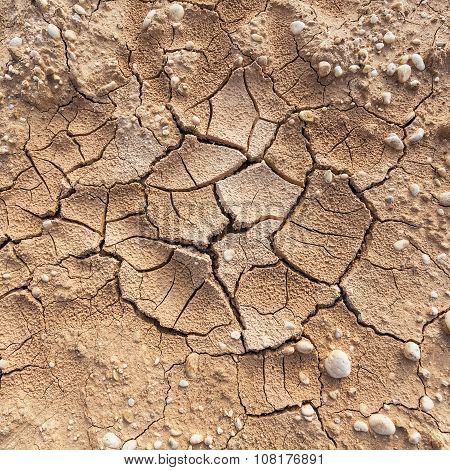 Cracked Clay Ground Into The Dry Season