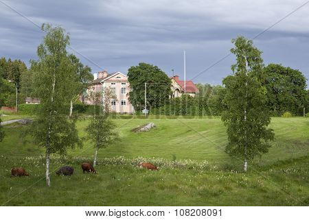 HALSINGLAND, SWEDEN ON JULY 23.