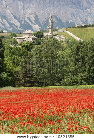 La Breole (haute Provence)