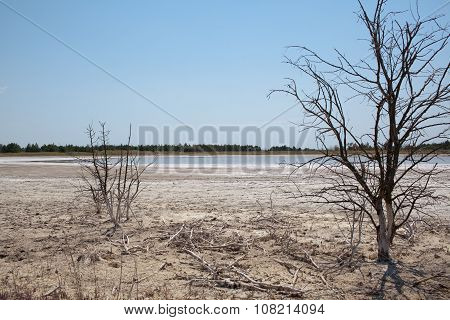 Drought Affected Land