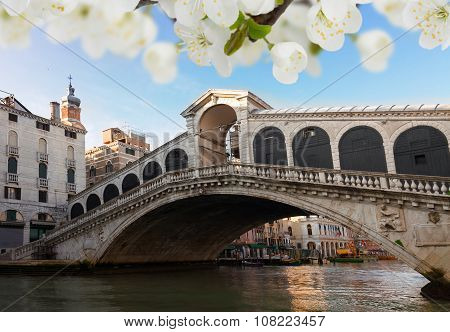 Rialto bridge, Venice, Italy