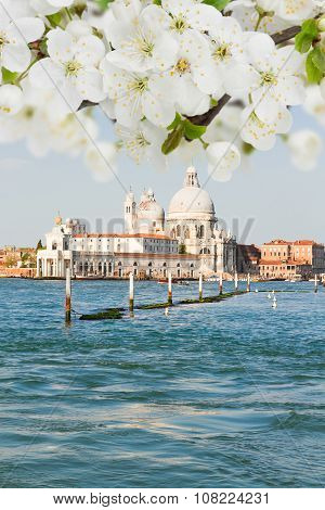Basilica Santa Maria della Salute, Venice, Italy