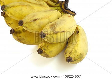Cultivate Banana Isolate White Background