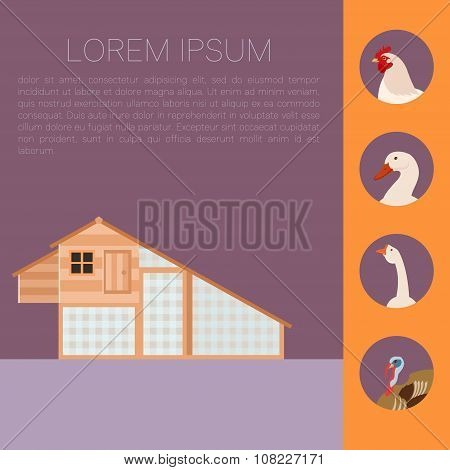 Henhouse flat banner