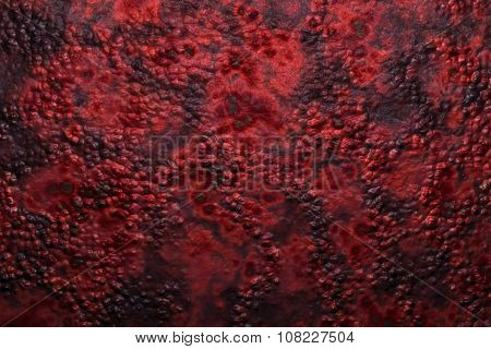 Anatomy organic background. molecular cell structure. 3d render