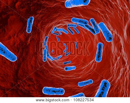 Bacteria On An Organic Surface.