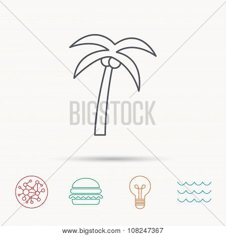 Palm tree icon. Travel or vacation symbol.