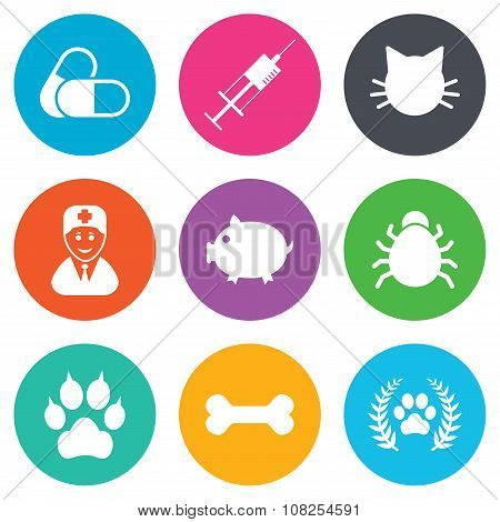 Veterinary, pets icons. Paw, syringe and bone.