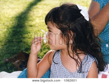 漂亮的女孩，嗅到的一朵花